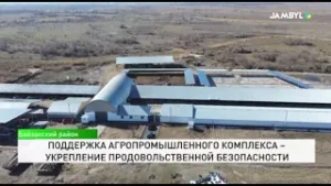 Поддержка агропромышленного комплекса – укрепление продовольственной безопасности