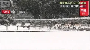 東京都心に5センチの積雪　一時は“横なぐり”日比谷公園も真っ白(2026年2月8日)
