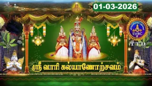Srivari Kalyanotsavam || Tirumala || SVBC2 Tamil || 01-03-2026 || SVBC TTD