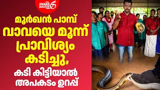 മൂർഖൻ പാമ്പ് ഇങ്ങനെ കടിച്ചാൽ പിന്നെ രക്ഷയില്ല | The Most Dangerous Cobra Bite | Snakemaster EP 1207