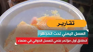 Yemeni Honey Under the Microscope: First Scientific Conference on Medicinal Honey Launches in Sana'a