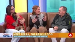 Daytime Buffalo: Theo's Best Friend Award recipient | Sponsored by Earthwise Pet