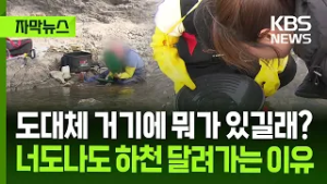 [자막뉴스] 도대체 거기에 뭐가 있길래? 너도나도 하천 달려가는 이유 / KBS 2026.03.06.