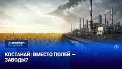 Agricultural land in Kostanay to be repurposed for factories