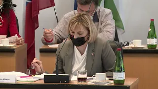 Záznam zasadnutia Mestského zastupiteľstva v Skalici 8.9.2021