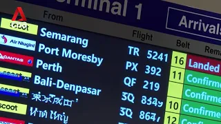 Indonesia volcano: Budget airline Scoot deploys relief flights for stranded passengers