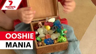 Ooshie mania sweeps Australia as schools crack down | 7NEWS