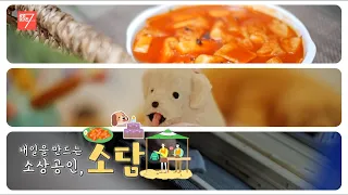 내일을 만드는 소상공인 / 강원매거진7 / [소담] / G1방송 / 260807