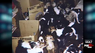 Madisonville woman ordered to surrender her 50 dogs