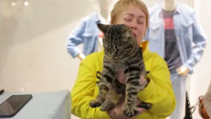 38 питомцев нашли своих новых хозяев на выставке-раздаче во Владивостоке.