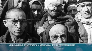 The Occupation of the Kamenka District: Terror and Its Consequences