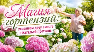 Гортензии — королевы дачного сада: украшаем дачу вместе с Натальей Преткель | Удачи на даче