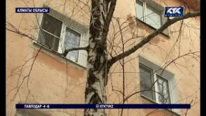 Ұйықтап жатқан күйеуін отыз жерден пышақтаған әйел — жай- жапсары белгілі болды