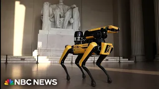 ICE plans to buy robot ‘dogs’ for some immigration enforcement operations