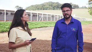 Investing in poultry houses requires planning, financing, and technical support | Interligados