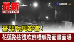 Impact of Typhoon Champi! Footage of fallen tree blocking Hualien road revealed [Breaking News]