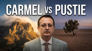 From Carmel to the Wilderness - Stamate Alexandru
