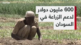Sudan Signs Partnership Agreement with the UN to Develop Agriculture
