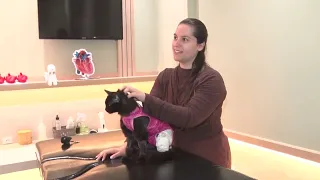 CAT RECOVERY GC OK