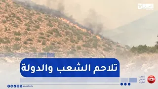 تلمسان / تلاحم الشعب ومؤسسات الدولة ..  تضامن وتكافل لمواجهة الحرائق