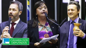 Comissões temáticas da Câmara têm novos presidentes - 13/02/2026