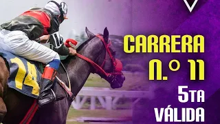 11MA CARRERA - CLUB HIPICO - HIPÓDROMO LA RINCONADA - 01 MARZO DEL 2026 5TA VALIDA