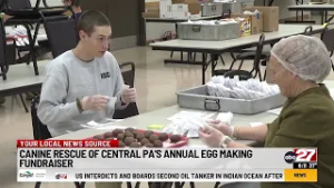 Volunteers 'dip' into critical fundraiser for Canine Rescue via chocolate eggs