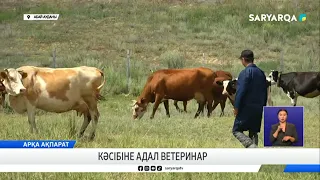 A Veterinarian Devoted to Their Profession