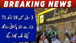 Over 1.87 Million Pakistanis Left the Country for Jobs in Just 3 Years!