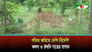 মেহেরপুরের মুজিবনগরে পতিত জমিতে দেশি-বিদেশি ফলদ ও ঔষধি গাছের বাগান
