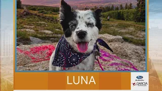New Mexico Living Pet Pics September 25, 2026