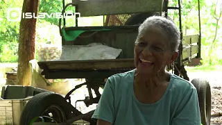 Apuntes: Los colonos #1