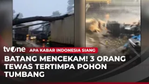 NGERI! Tiga Orang di Jateng Tewas Akibat Pohon dan Tiang Listrik Tumbang | AKIS
