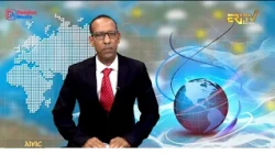 News in Tigre for October 14, 2026 - ERi-TV, Eritrea