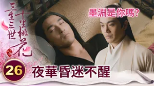 九重天的太子殿下 竟長的與先戰神一般無二？【三生三世十里桃花】精華 EP26-5 楊冪、趙又廷、迪麗熱巴、高偉光、張智堯 @ctvdrama_classic