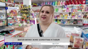 Шағын бизнес және азаматтық ұстаным