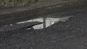 Allarme buche, ancora segnalazioni da San Zeno