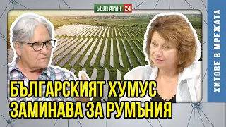 МОСВ Е ОРГАНИЗИРАНА ПРЕСТЪПНА ГРУПА, гърми експертка след проверката в Брусарци