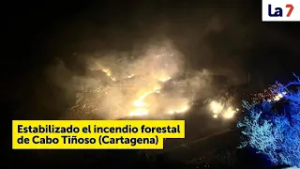 Estabilizado el incendio forestal de Cabo Tiñoso | La 7