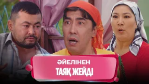 Күлпәш лепешка боп асфальтта жатыр | Күлпәштің әзілдері