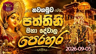Nawagamuwa Paththini Maha Dewala Perahera | නවගමුව පත්තිනි මහා දේවාල පෙරහර | 2026-09-05
