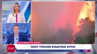 Υψηλός κίνδυνος για πυρκαγιές αύριο - Σε κόκκινο συναγερμό μεγάλο μέρος της χώρας |Μεσημβρινό δελτίο