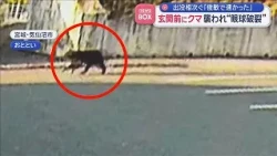 玄関前にクマ…襲われ“眼球破裂”　出没相次ぐ「俊敏で速かった」【スーパーJチャンネル】(2026年10月12日)