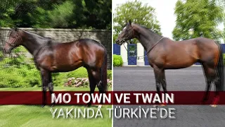 Mo Town ve Twain yakında Türkiye’de…