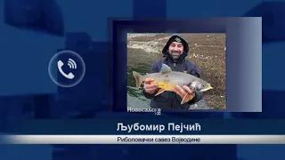 POVEĆAN BROJ BAKTERIJA U DUNAVU ZBOG NISKOG VODOSTAJA, evo šta savetuju stručnjaci!