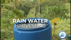 Министерство здравоохранения выпустило рекомендации по безопасности сбора дождевой воды.