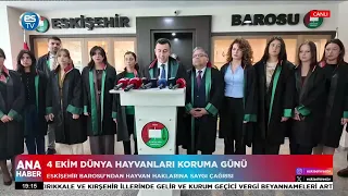 4 Ekim Dünya Hayvanları Koruma Günü!