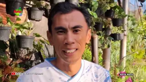 ANGIN KENCANG, PENGGUNA JALAN DIHIMBAU WASPADA POHON TUMBANG