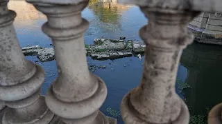 Drought reveals Emperor Nero's bridge beneath Rome's Tiber river