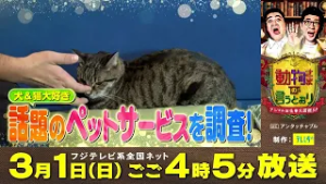 『動物さまの言うとおり　アニマルお仕事大図鑑SP』番宣15秒　話題のペットサービス編